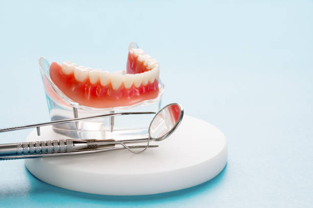 Trusted Timonium, MD  Holistic Dental Services Experts